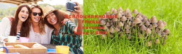 сатива Гусь-Хрустальный