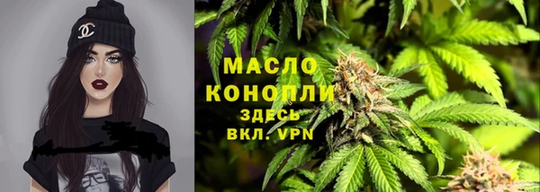 МДПВ Гусев