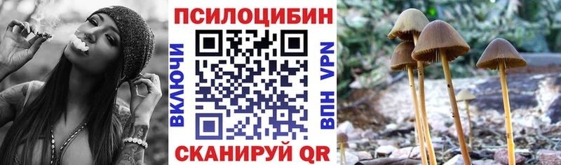 дарк нет формула  Дальнереченск  Галлюциногенные грибы GOLDEN TEACHER 