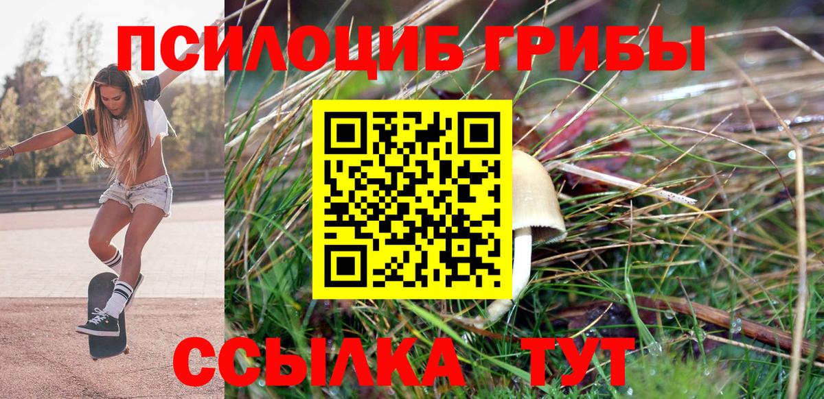 Галлюциногенные грибы прущие грибы  Галлюциногенные грибы MAGIC MUSHROOMS  Дальнереченск 