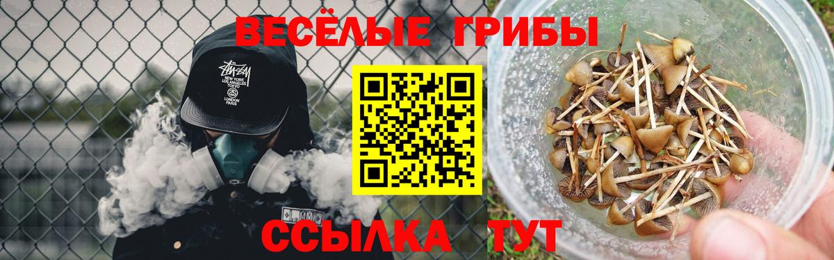 цена   Вход с VPN  Дальнереченск  Галлюциногенные грибы мицелий 